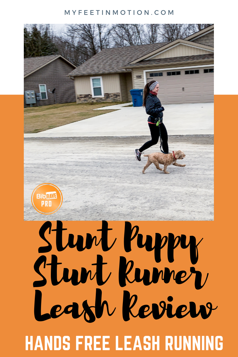 Stunt Puppy Stunt Runner Hands-Free Dog Leash 